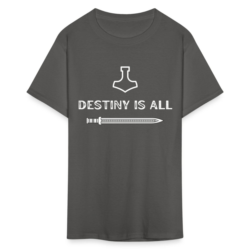 "Destiny is All" T-Shirt - charcoal