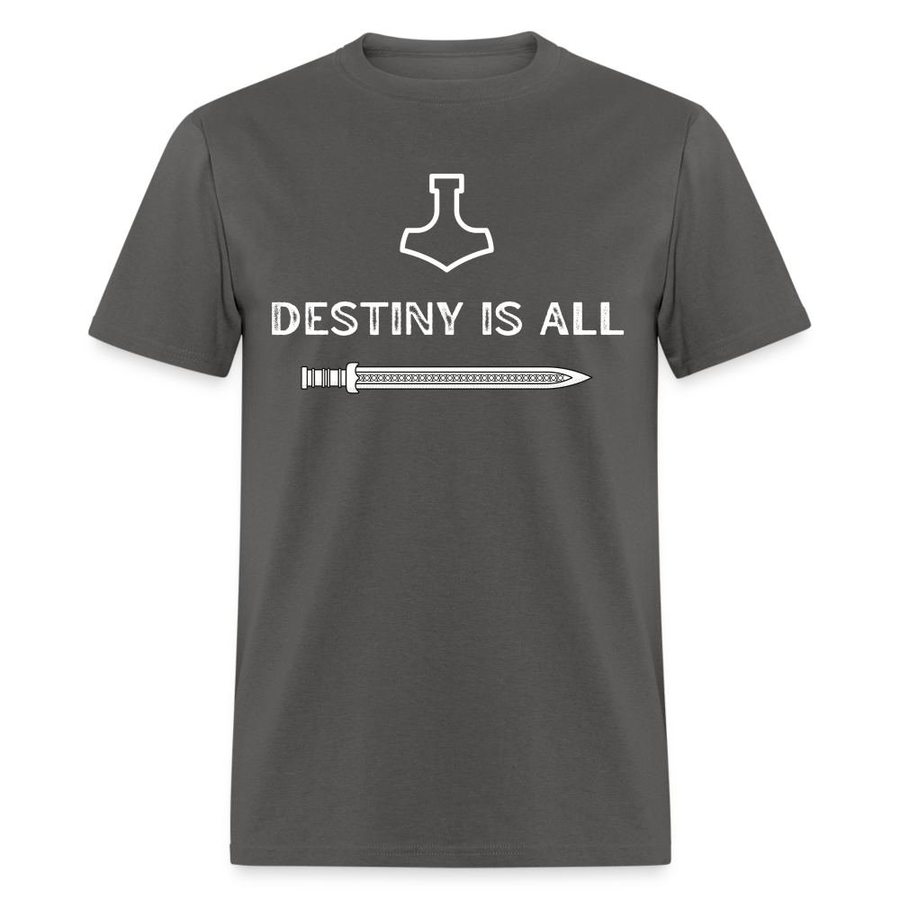 "Destiny is All" T-Shirt - charcoal