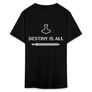 "Destiny is All" T-Shirt - black