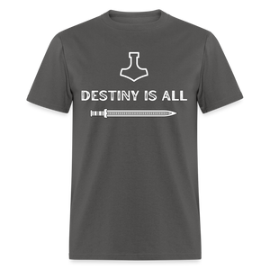 "Destiny is All" T-Shirt - charcoal