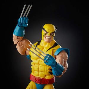 Marvel Legends 80th Anniversary Hasbro Wolverine and Hulk 6-Inch Action Figure 2-Pack